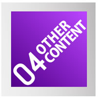 04OTHER_CONTENT